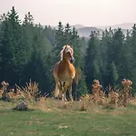 Carpe Diem * Pamporowo