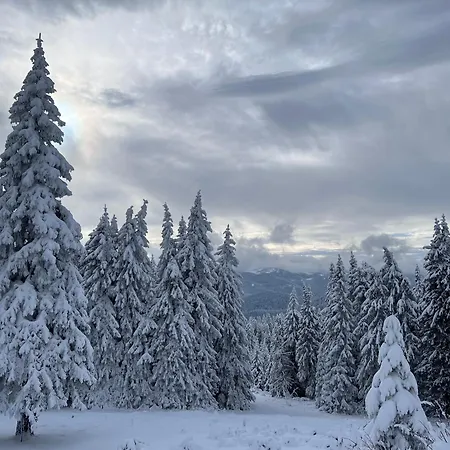 Villa Carpe Diem Pamporovo