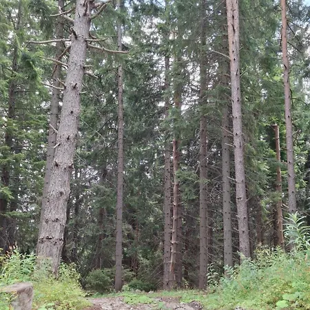 Carpe Diem * Παμπόροβο