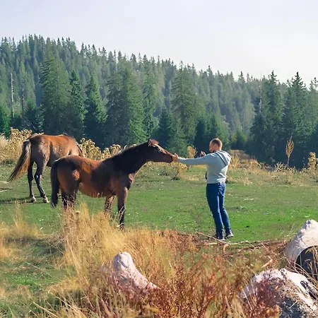 Carpe Diem Pamporovo