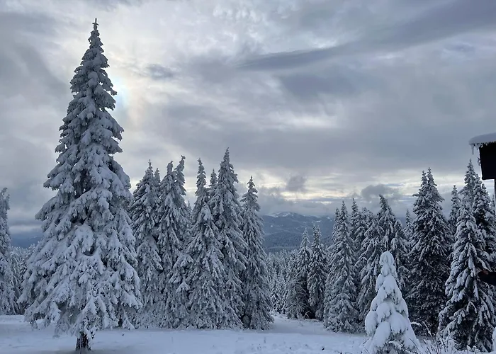 ヴィラ Carpe Diem パンポロボ