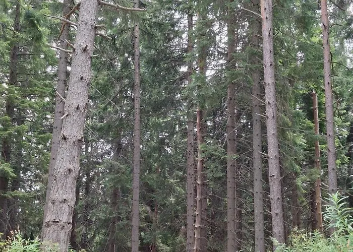 Carpe Diem * パンポロボ