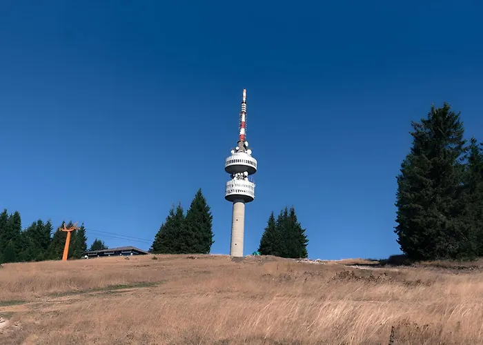 ヴィラ Carpe Diem