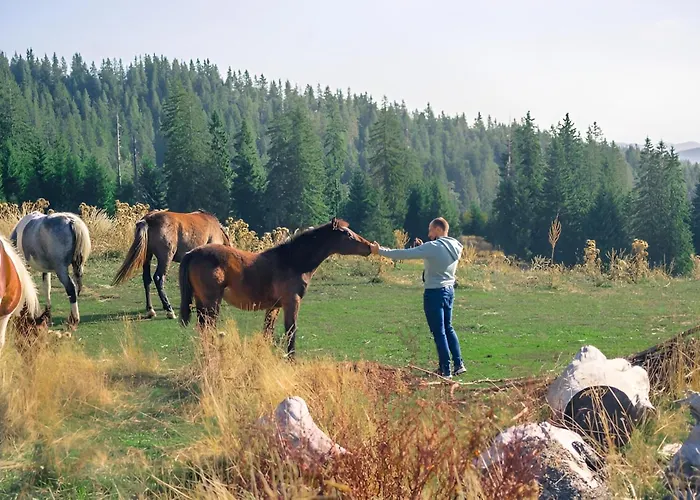 Carpe Diem パンポロボ
