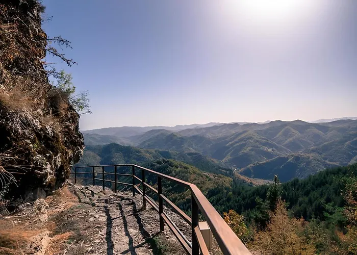 ヴィラ Carpe Diem