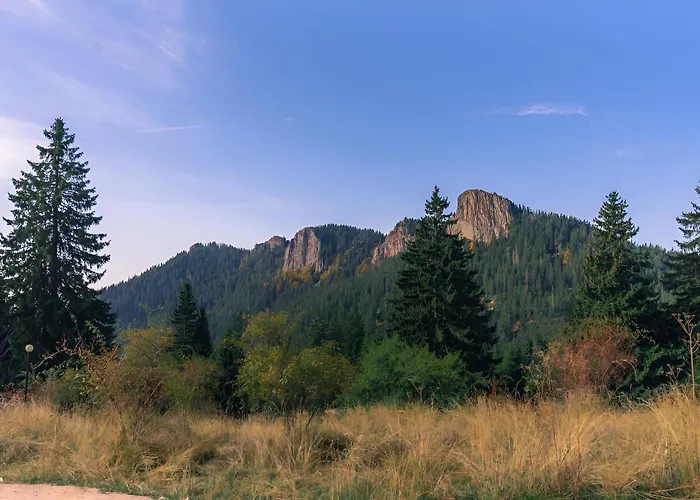 Carpe Diem ヴィラ